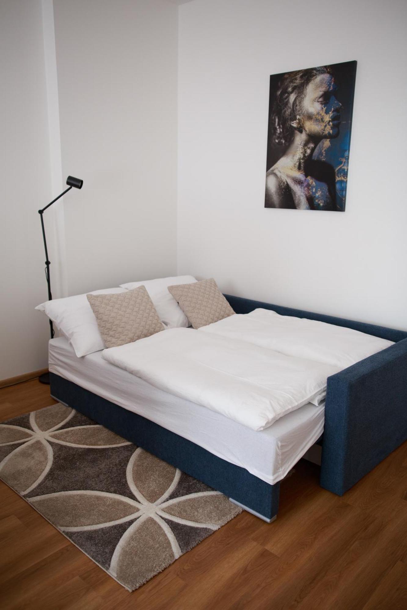 Apartment Dita Karlovy Vary Extérieur photo