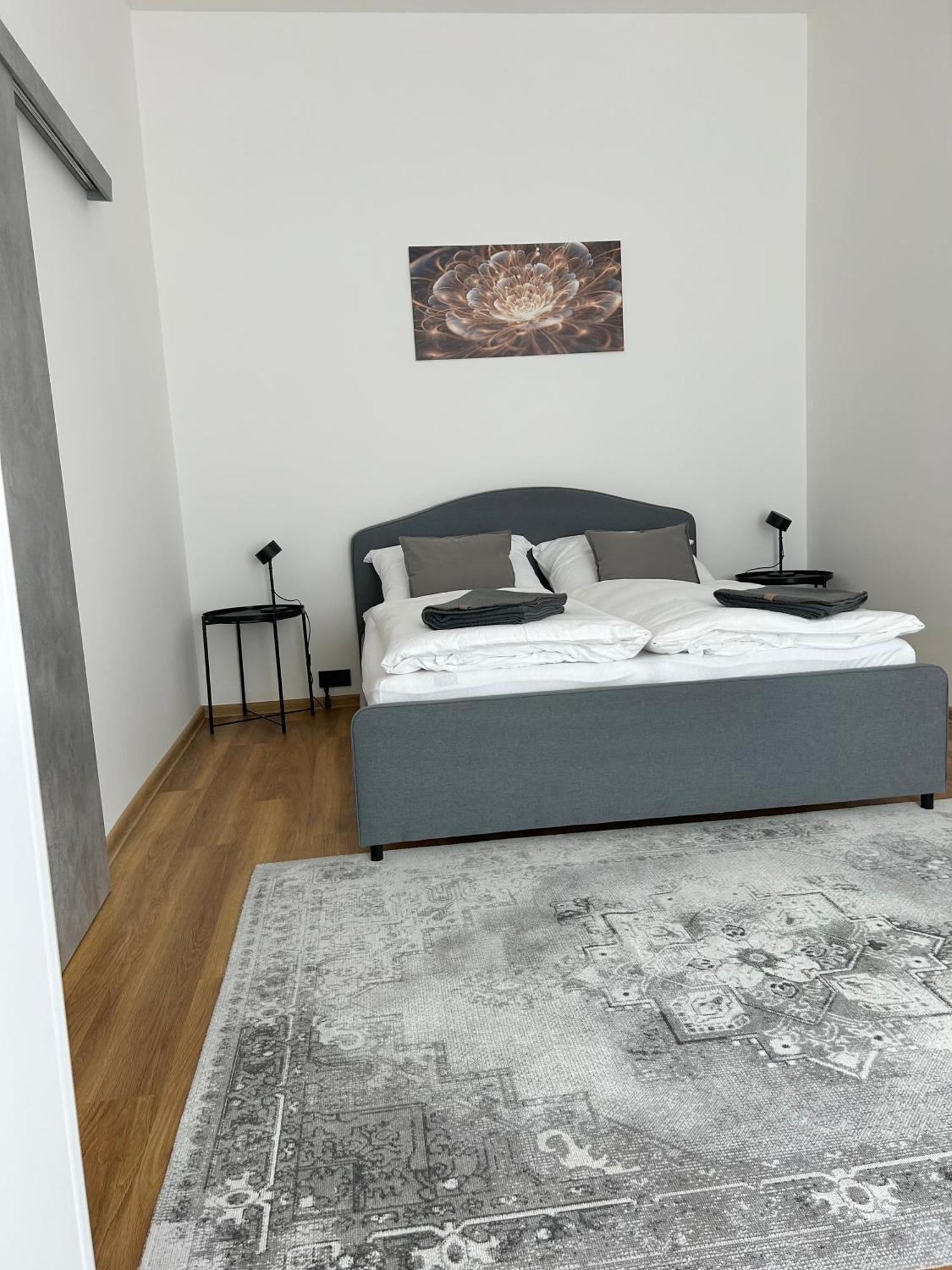 Apartment Dita Karlovy Vary Extérieur photo
